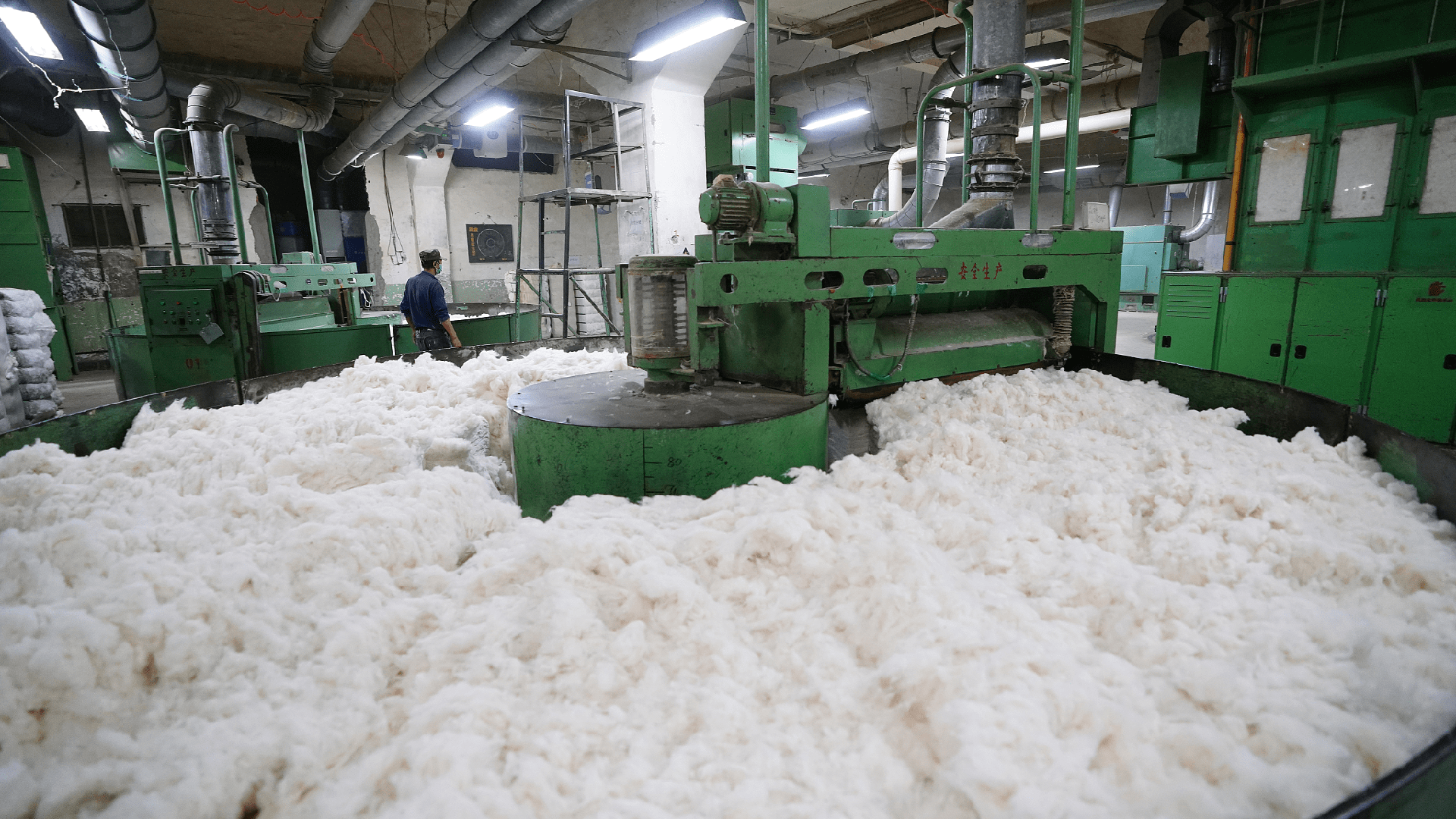 Cotton